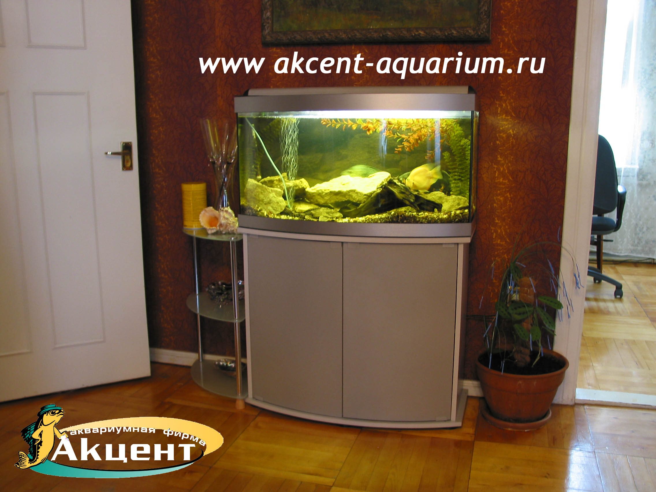 Акцент-аквариум, аквариум 160 литров с гнутым передним стеклом